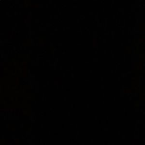 Meet your Posher, Lupe